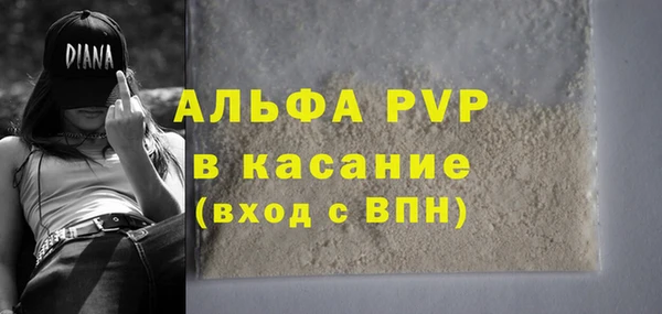 сатива Осинники